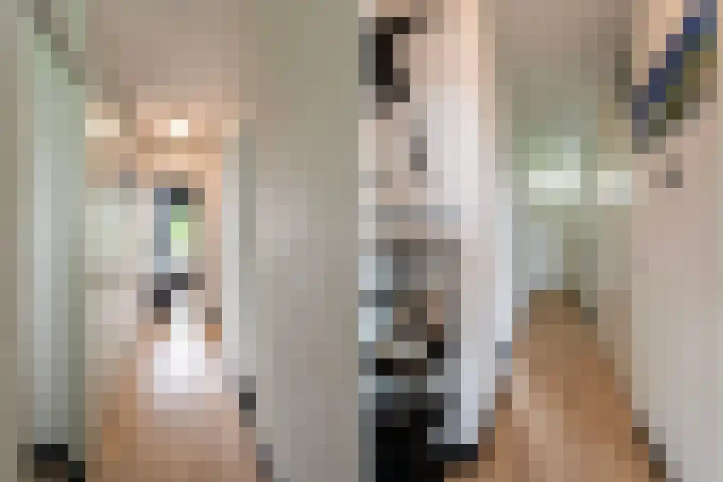 Staringlaan 224 Papendrecht thumbnail 7
