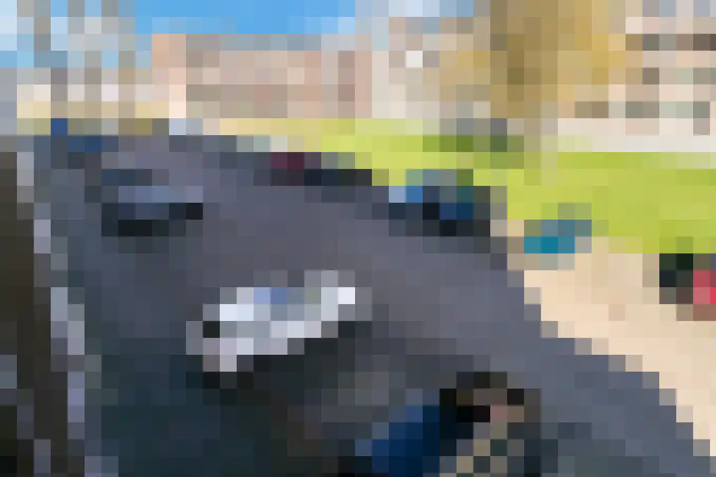 Staringlaan 226 Papendrecht thumbnail 35