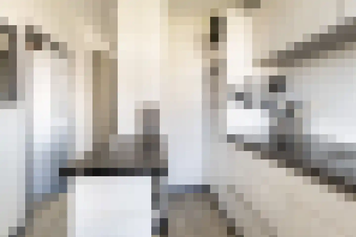 Staringlaan 226 Papendrecht thumbnail 8
