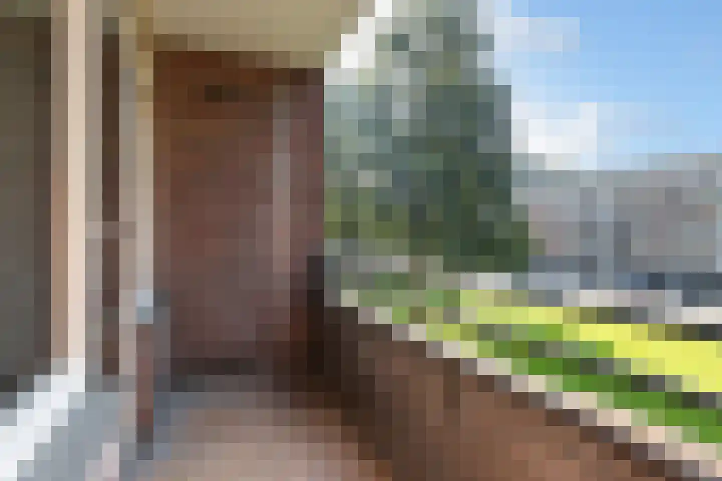 Staringlaan 234 Papendrecht thumbnail 16