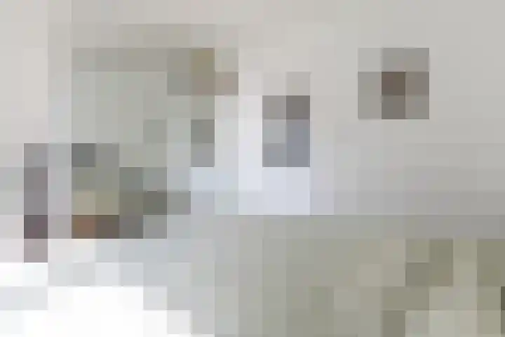 Staringlaan 236 Papendrecht thumbnail 10