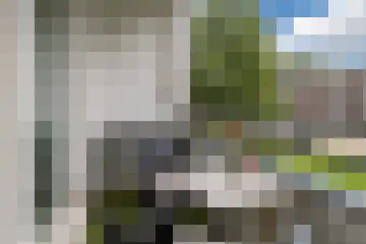 Staringlaan 236 Papendrecht thumbnail 11