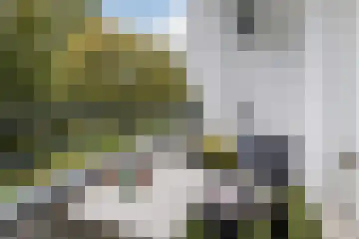 Staringlaan 236 Papendrecht thumbnail 13