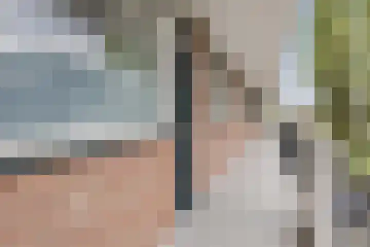 Staringlaan 236 Papendrecht thumbnail 18