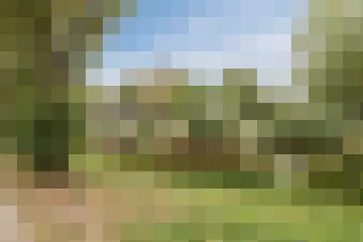 Staringlaan 236 Papendrecht thumbnail 20