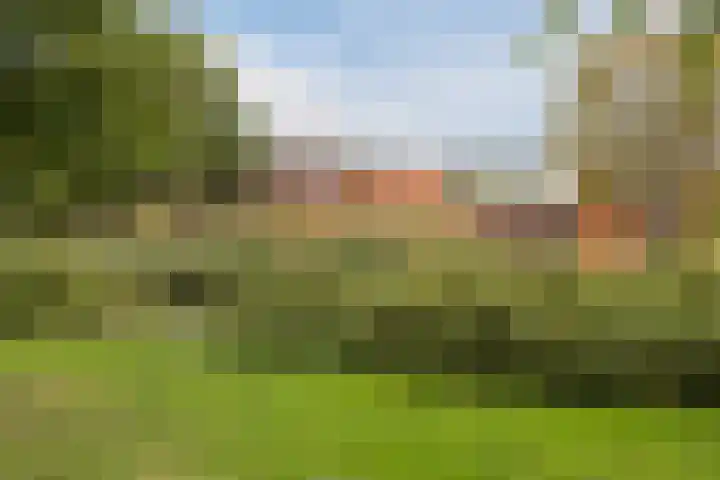 Staringlaan 236 Papendrecht thumbnail 21