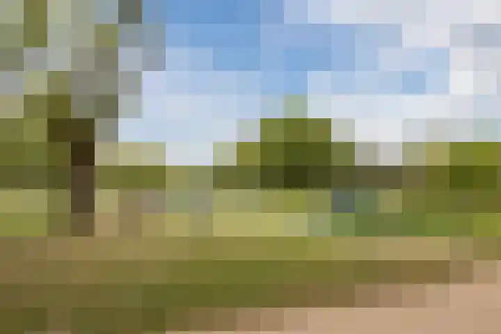 Staringlaan 236 Papendrecht thumbnail 22