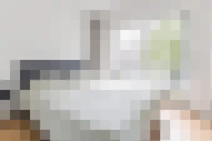Staringlaan 236 Papendrecht thumbnail 9