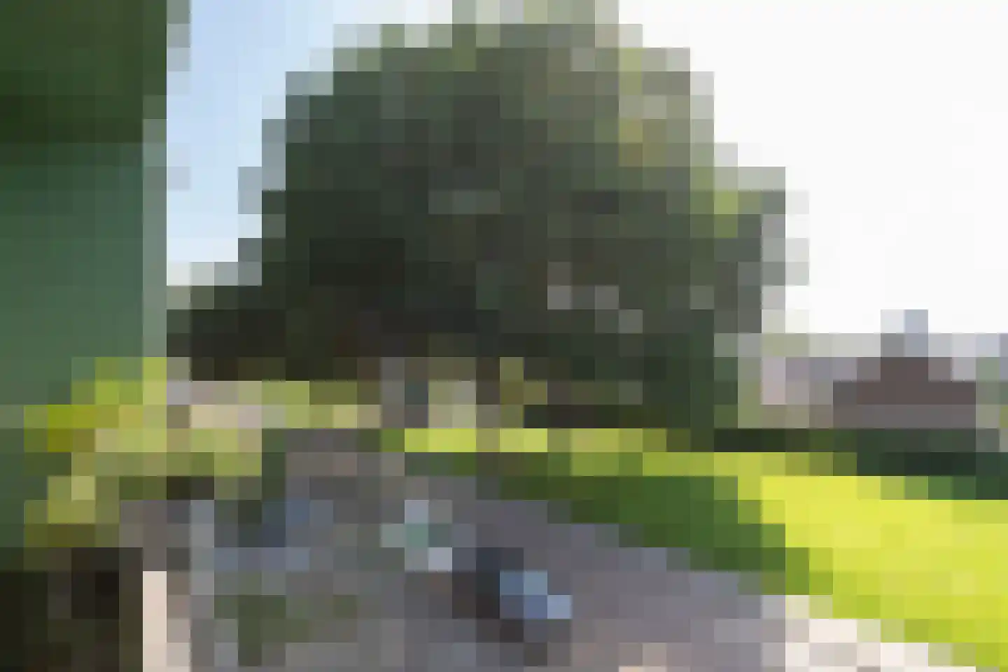Staringlaan 242 Papendrecht thumbnail 17