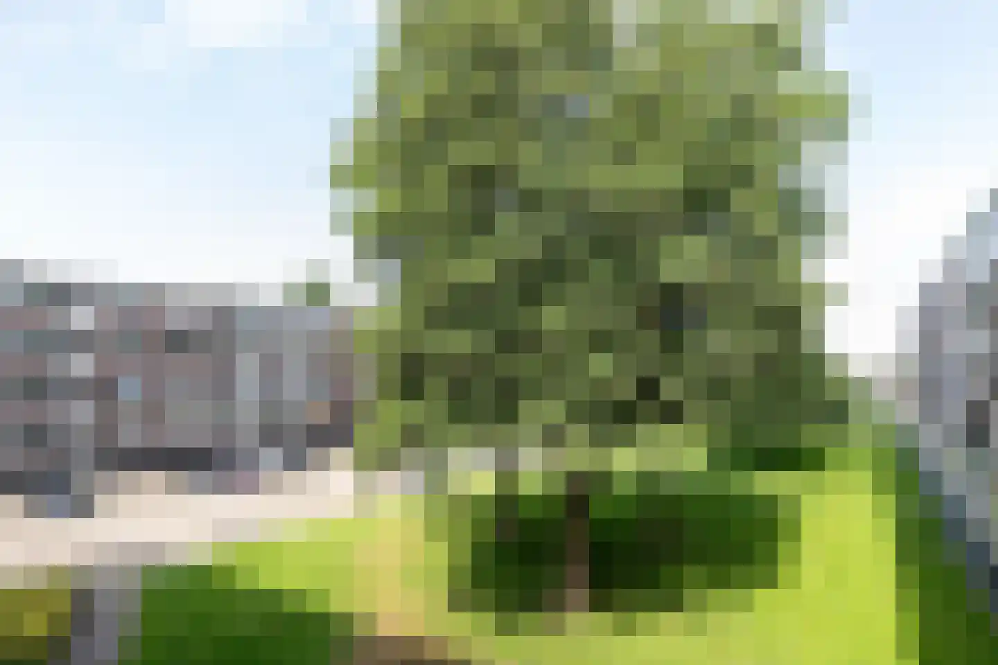 Staringlaan 242 Papendrecht thumbnail 18
