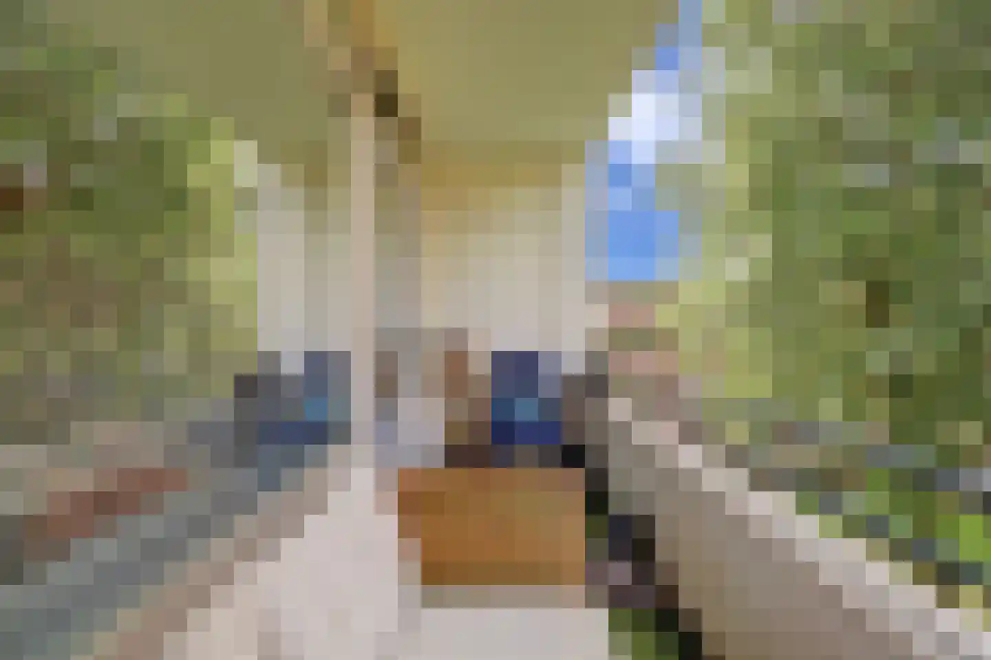 Staringlaan 254 Papendrecht thumbnail 20