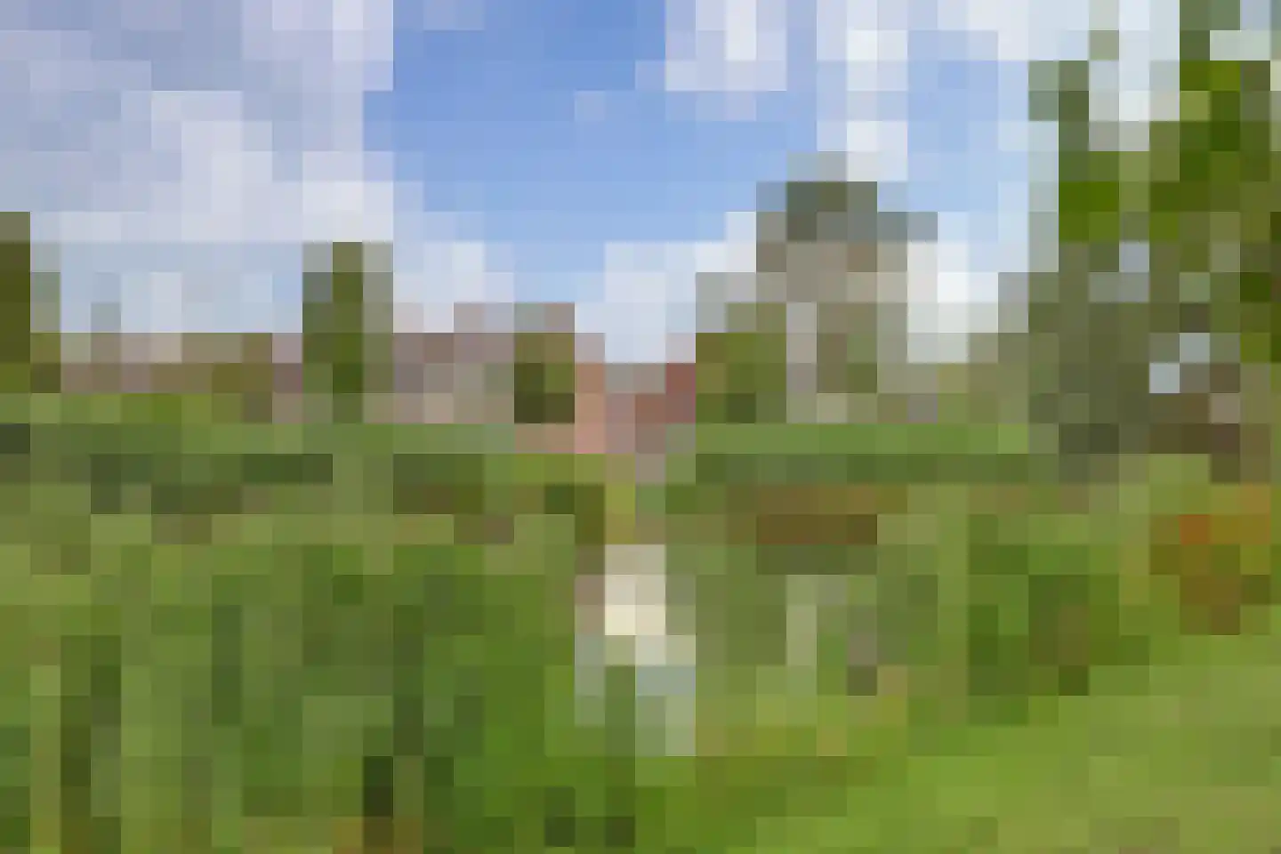 Staringlaan 254 Papendrecht thumbnail 32