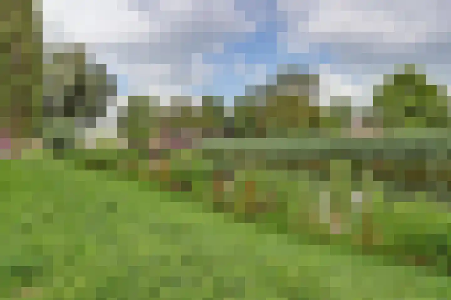Staringlaan 254 Papendrecht thumbnail 33