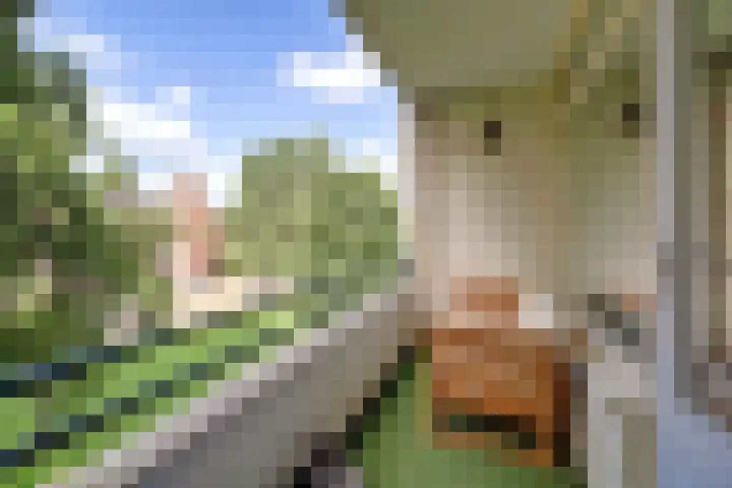 Staringlaan 254 Papendrecht thumbnail 5