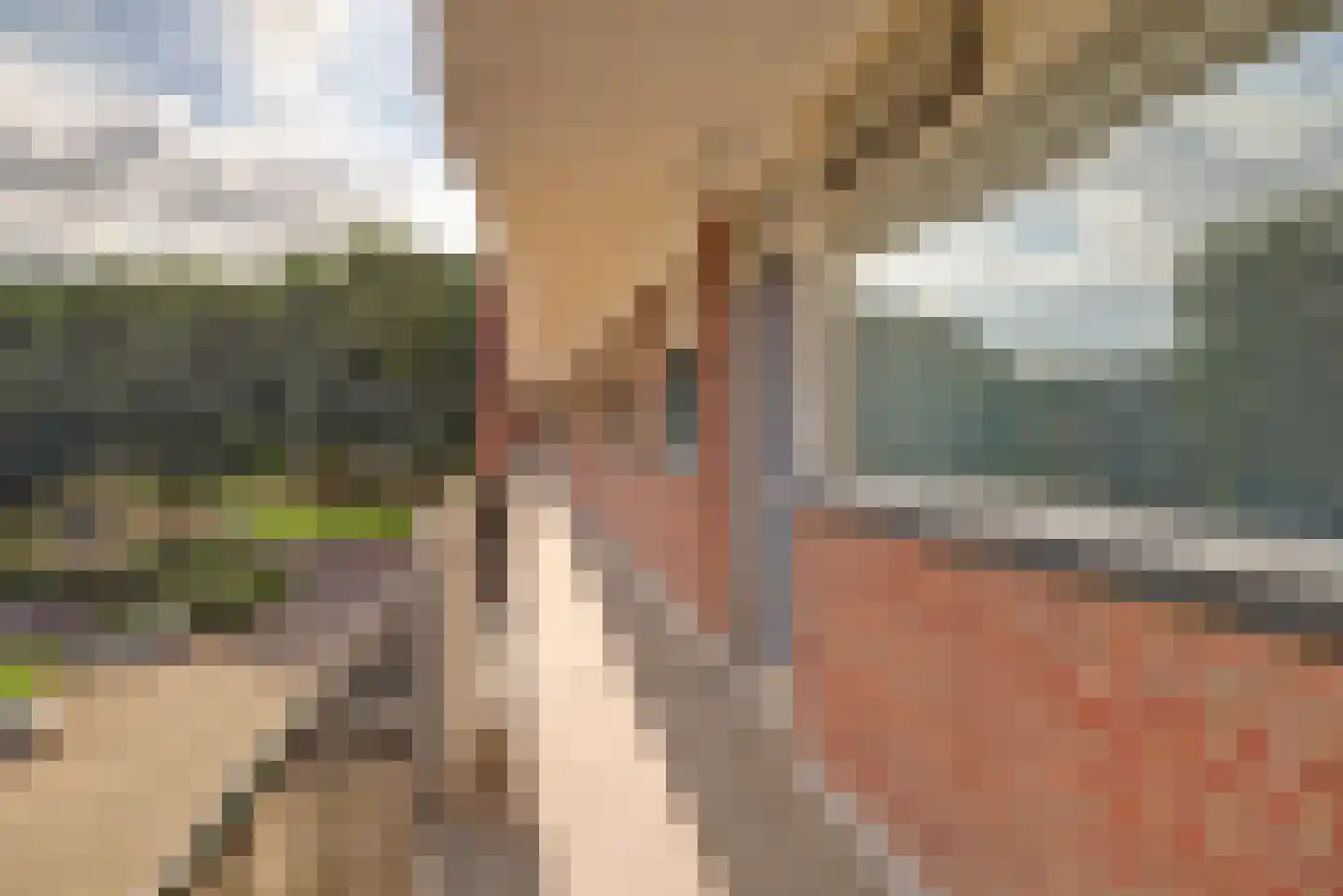 Staringlaan 254 Papendrecht thumbnail 6