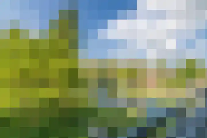 Staringlaan 264 Papendrecht thumbnail 15
