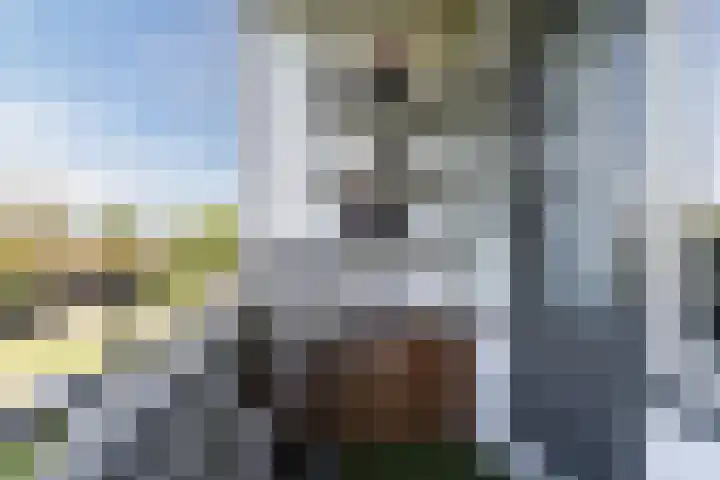 Staringlaan 264 Papendrecht thumbnail 16