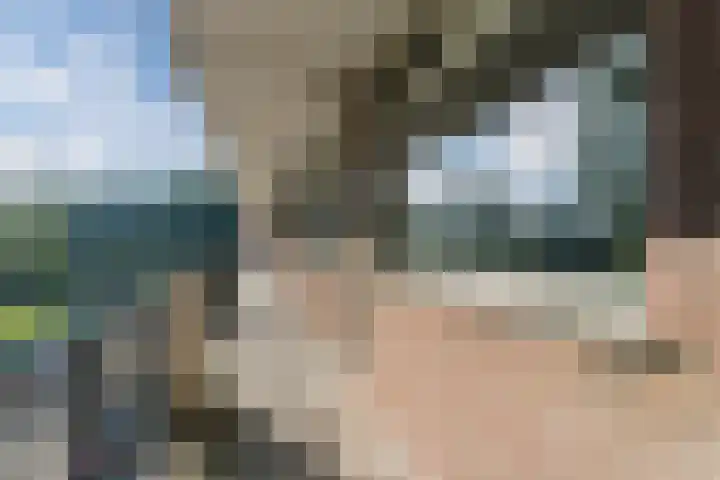 Staringlaan 264 Papendrecht thumbnail 22