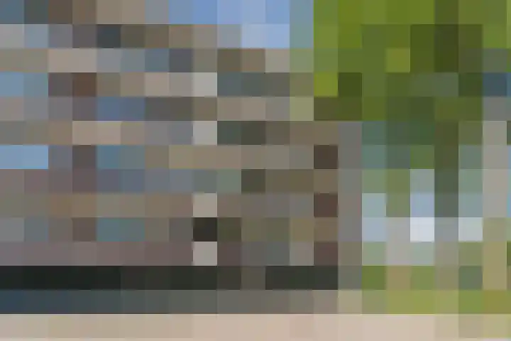 Staringlaan 264 Papendrecht thumbnail 24