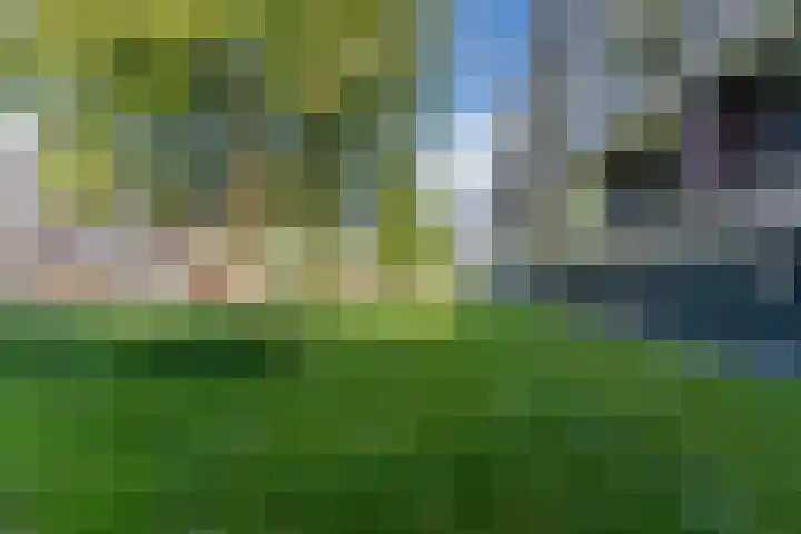 Staringlaan 264 Papendrecht thumbnail 25
