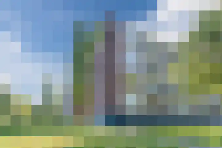 Staringlaan 264 Papendrecht thumbnail 4