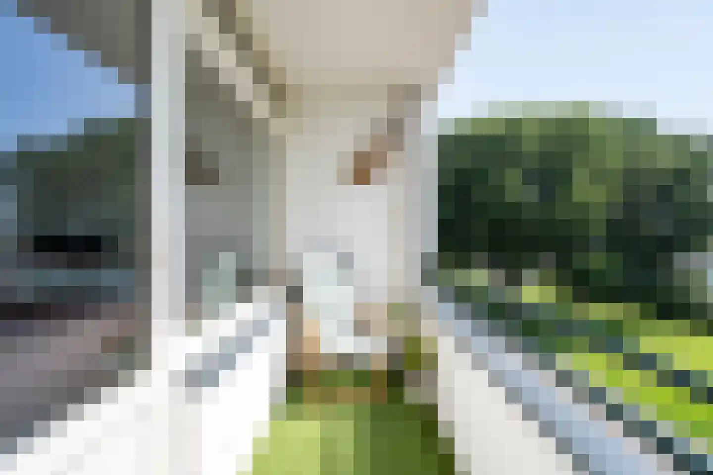 Staringlaan 272 Papendrecht thumbnail 15