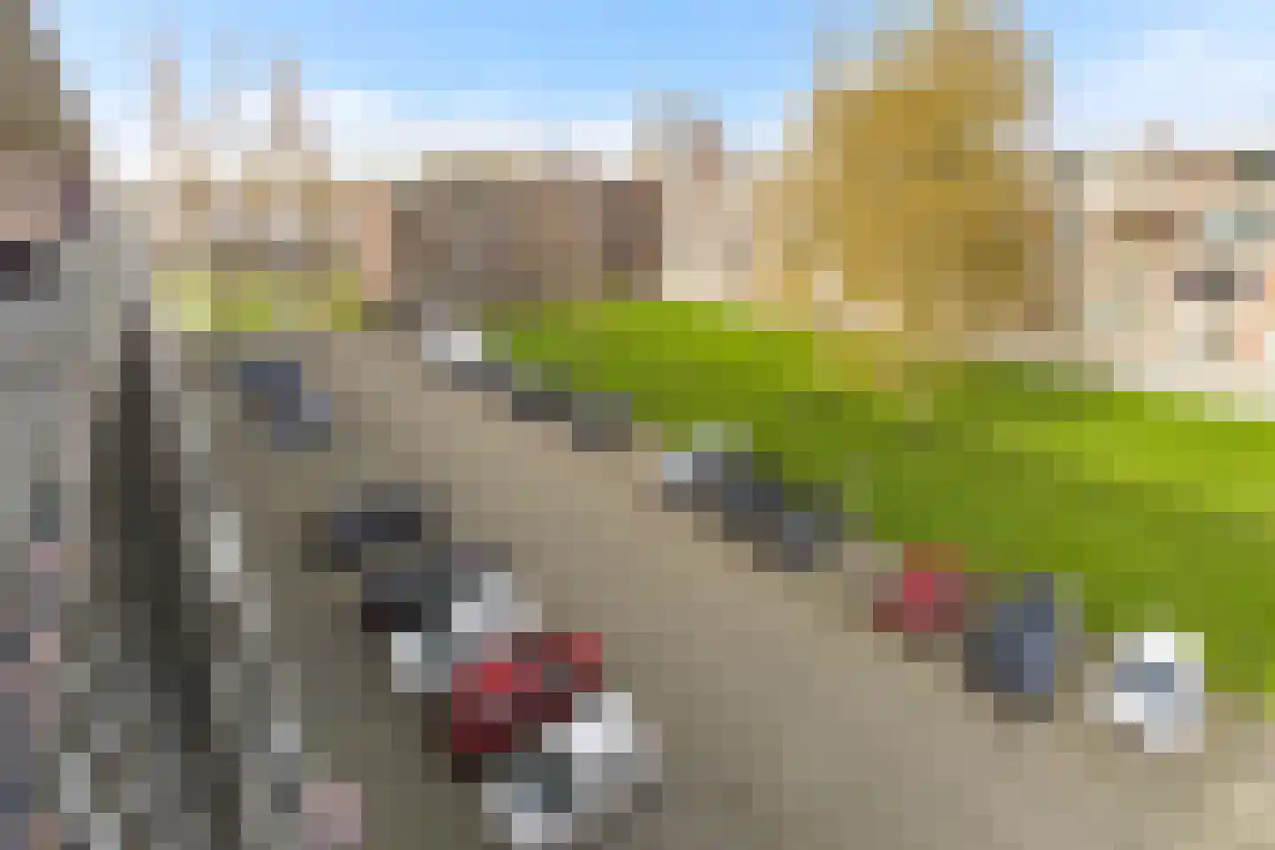 Staringlaan 276 Papendrecht thumbnail 30