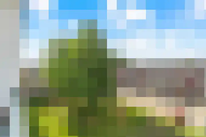 Staringlaan 282 Papendrecht thumbnail 27
