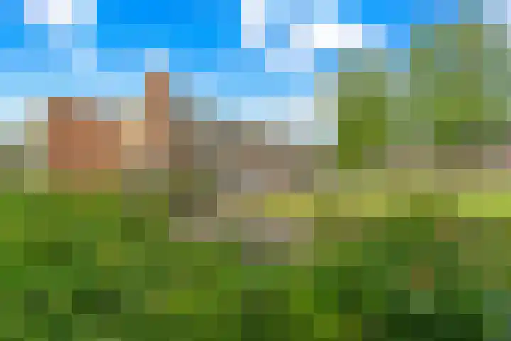 Staringlaan 282 Papendrecht thumbnail 6