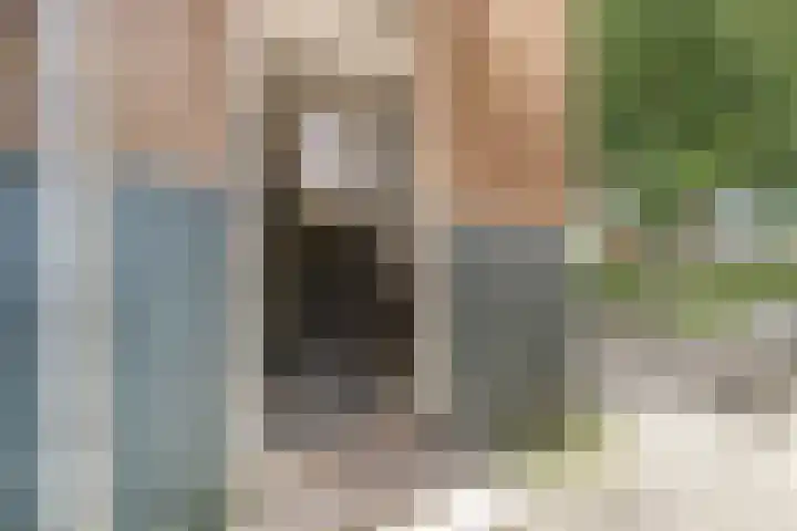 Staringlaan 282 Papendrecht thumbnail 8