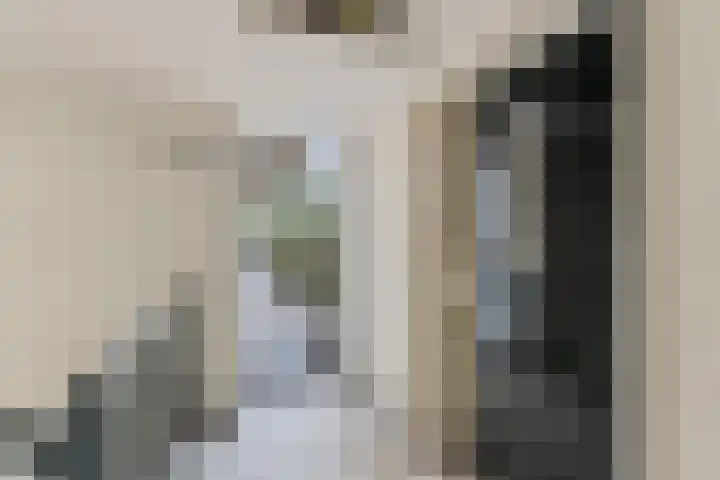 Staringlaan 282 Papendrecht thumbnail 9