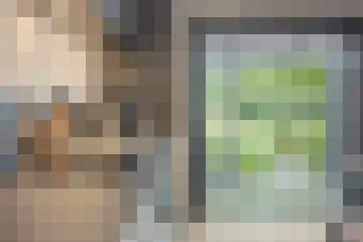 Staringlaan 30 Apeldoorn thumbnail 10