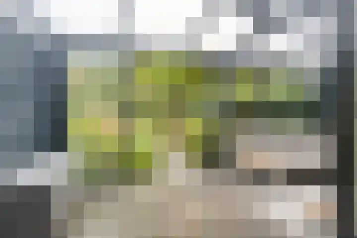 Staringlaan 30 Apeldoorn thumbnail 12