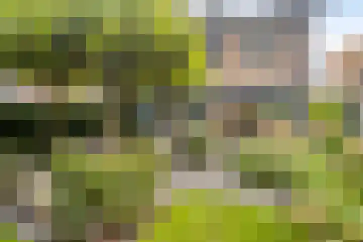 Staringlaan 30 Apeldoorn thumbnail 13