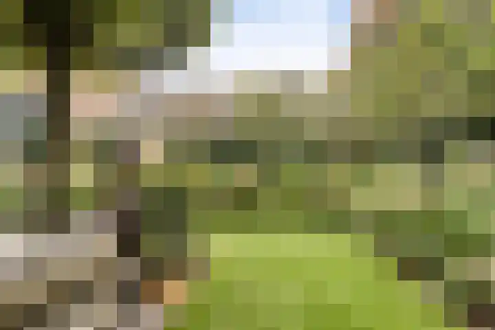 Staringlaan 30 Apeldoorn thumbnail 15