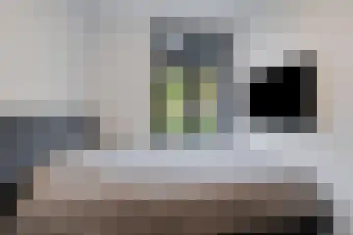 Staringlaan 30 Apeldoorn thumbnail 16