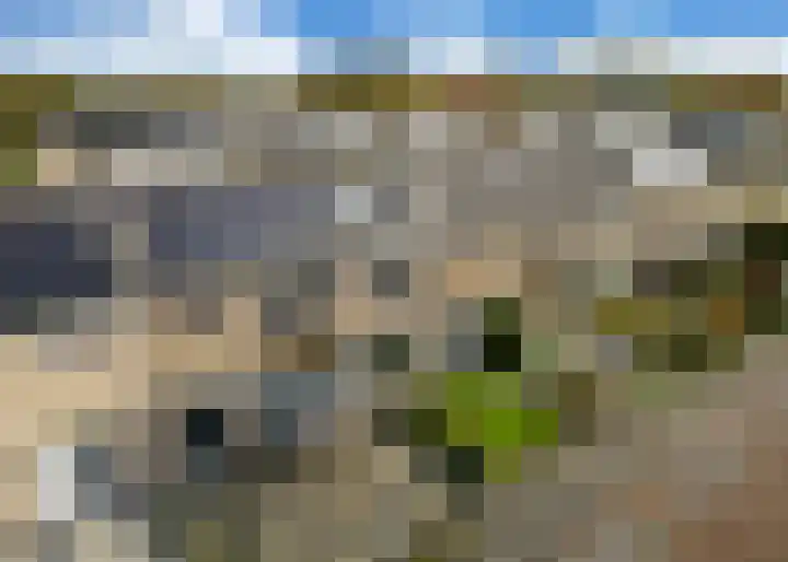 Staringlaan 31 Heerhugowaard thumbnail 35