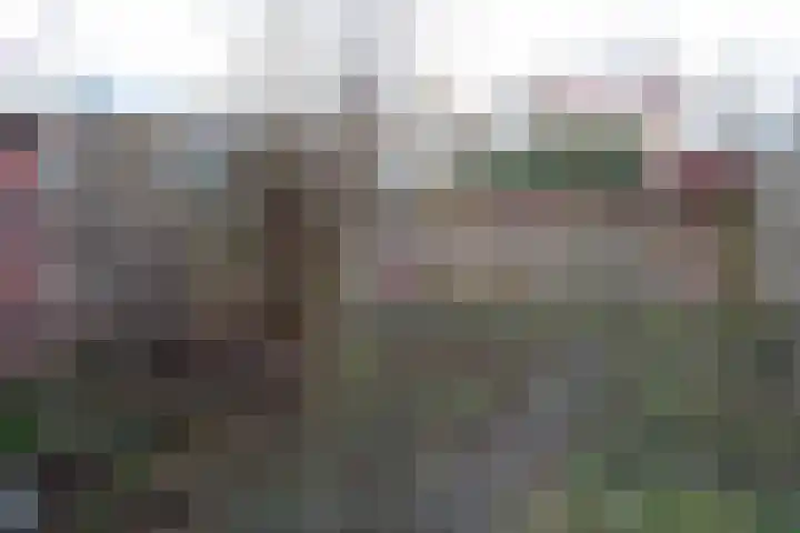 Staringlaan 43 Heerhugowaard thumbnail 29