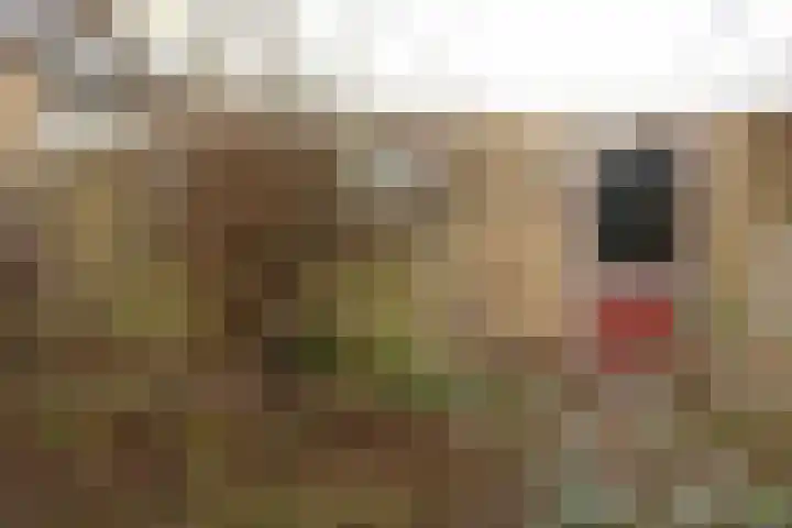 Staringlaan 43 Heerhugowaard thumbnail 31