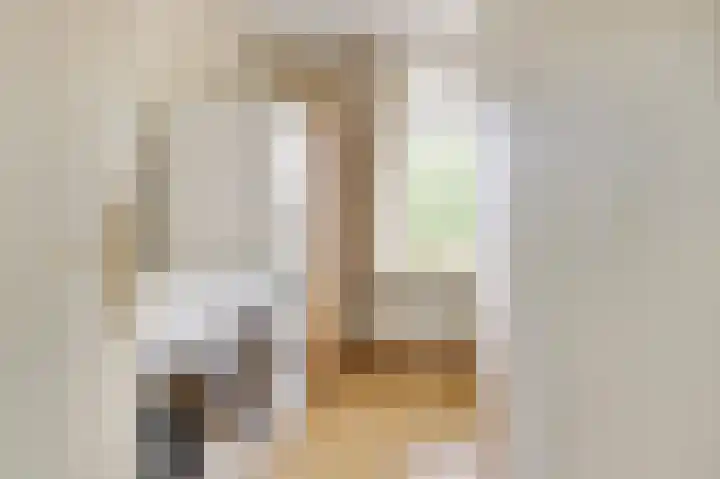 Staringplantsoen 1 A Spijkenisse thumbnail 17