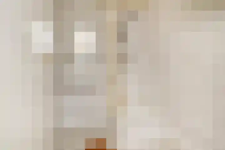 Staringplantsoen 1 A Spijkenisse thumbnail 18