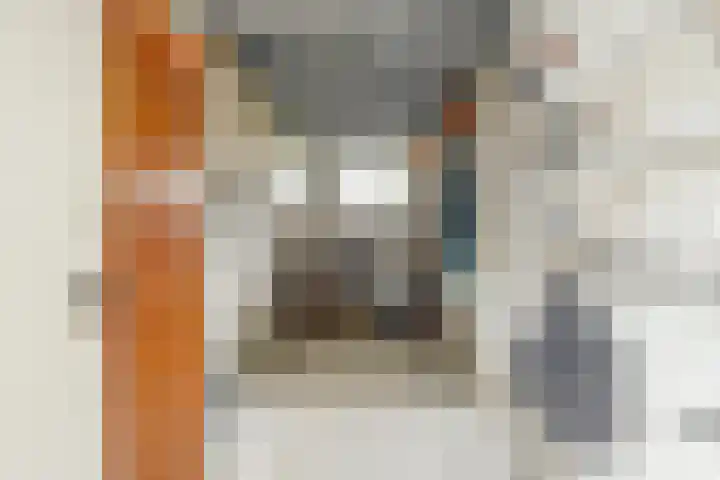 Staringplantsoen 1 A Spijkenisse thumbnail 21