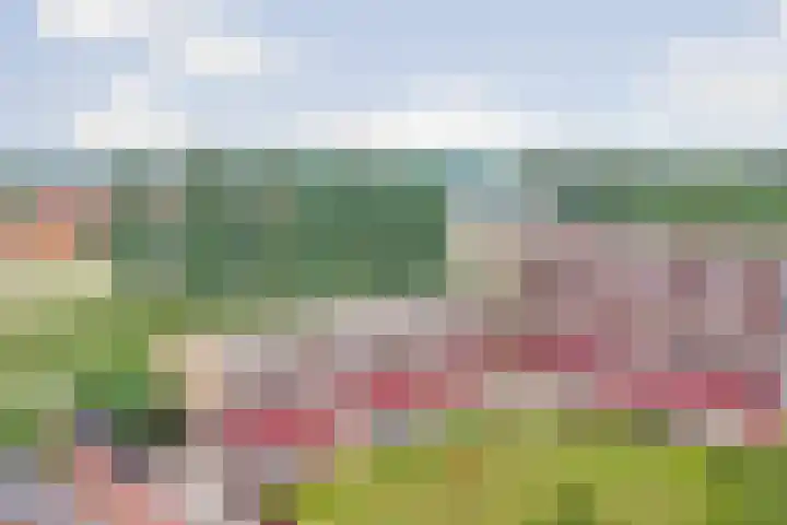 Staringplantsoen 1 A Spijkenisse thumbnail 22