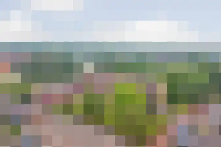 Staringplantsoen 1 A Spijkenisse thumbnail 23