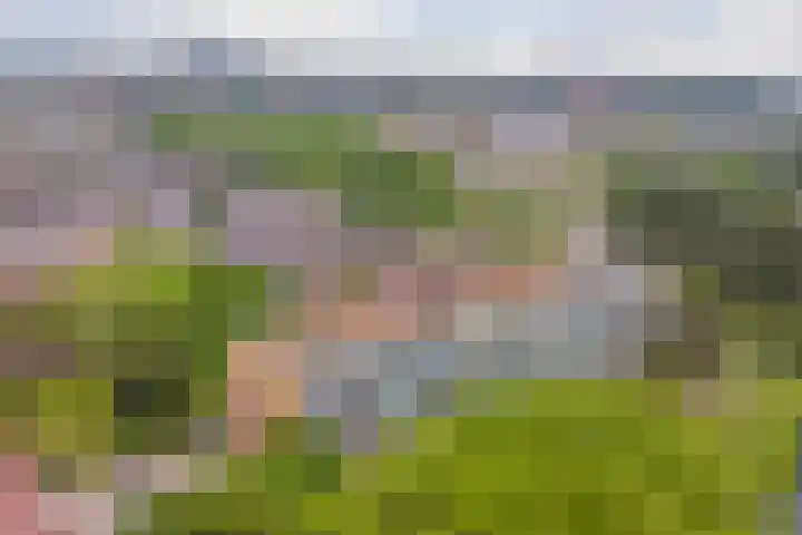 Staringplantsoen 1 A Spijkenisse thumbnail 24