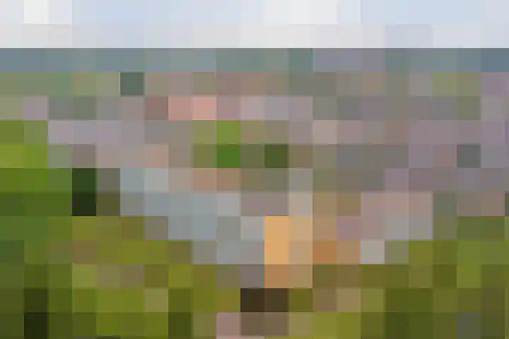 Staringplantsoen 1 A Spijkenisse thumbnail 25