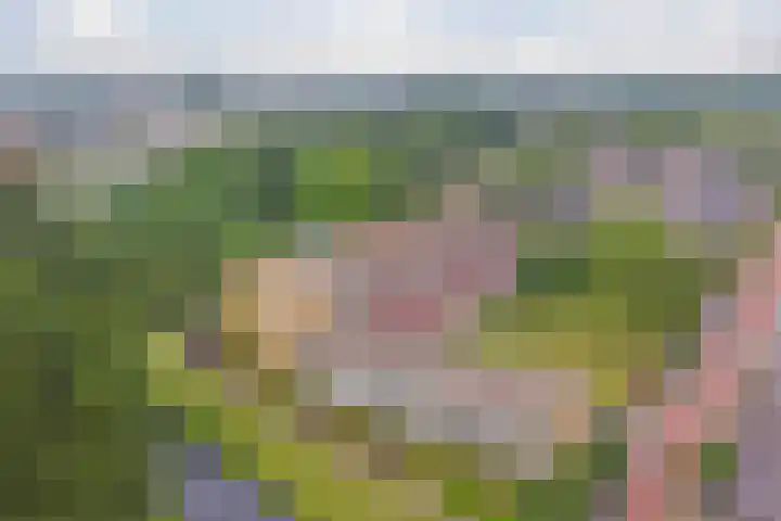 Staringplantsoen 1 A Spijkenisse thumbnail 26