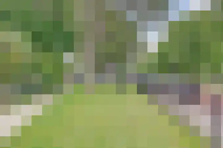 Staringplantsoen 1 A Spijkenisse thumbnail 31