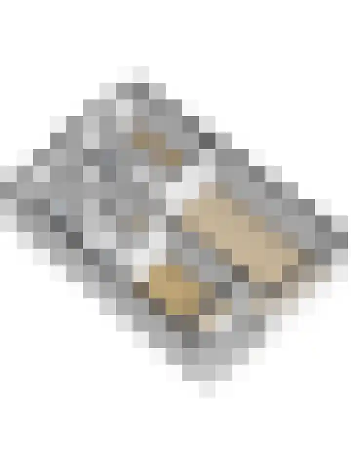 Staringplantsoen 1 A Spijkenisse thumbnail 33