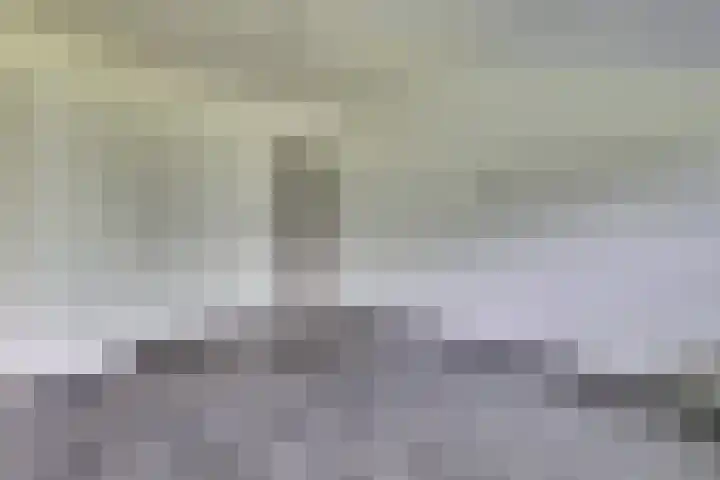 Staringplantsoen 13 A Spijkenisse thumbnail 11